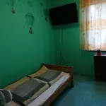 公寓 Erzsebet Vendeghaz *