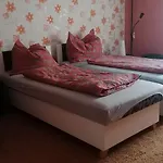 公寓 Erzsebet Vendeghaz *