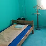 公寓 Erzsebet Vendeghaz *
