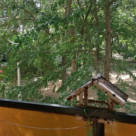 Erzsebet Vendeghaz Appartement *