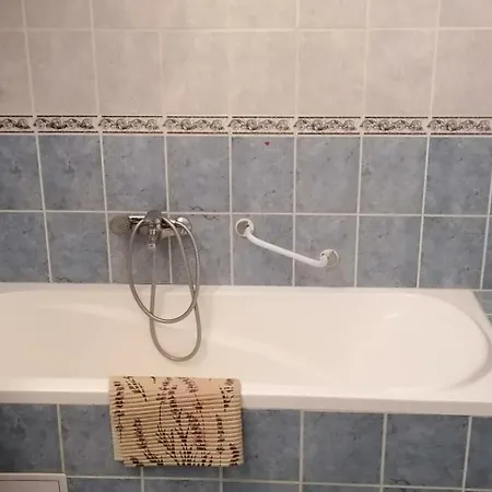 Erzsebet Vendeghaz *