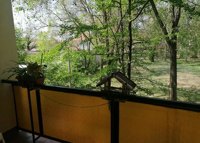 Erzsebet Vendeghaz *