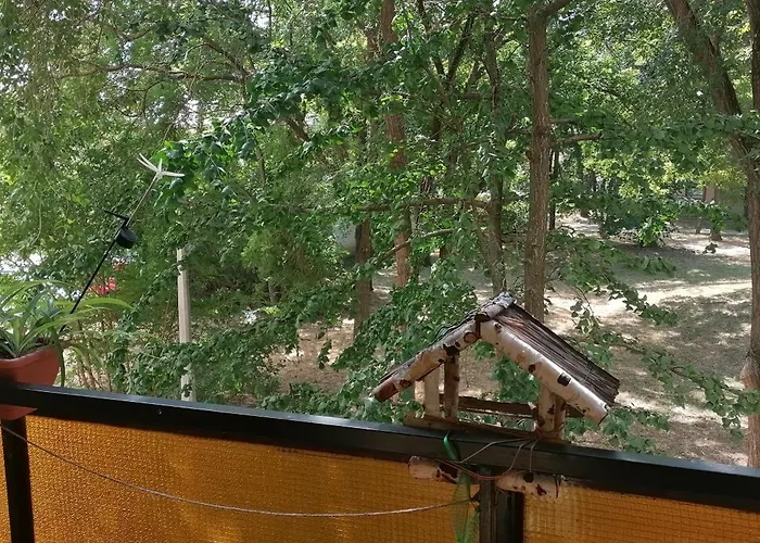 Erzsebet Vendeghaz Appartement *