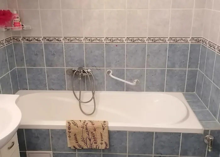 Erzsebet Vendeghaz *